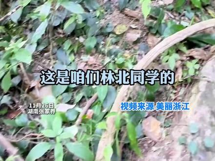 #林北找到个天然山洞当新庇护所 ,还邀请工作人员进去坐一坐。