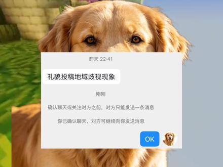 那些无脑地域黑#地域歧视 #金毛狗狗