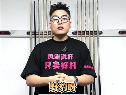 台球避坑指南小头杆篇 #台球 #台球杆 #台球器材