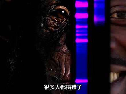 原来黑猩猩是人类的镜子,照出了我们的野性#黑猩猩 #科普 #动物科普 #涨知识 #提升自己
