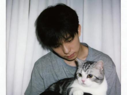 好有爱好喜欢,和猫咪相拥合照ai指令教程来啦! #豆包 #豆包ai #豆包P图已经nextlevel了 #和宠物合照 #和宠物合照指令 和猫咪合照 和自家萌宠合照