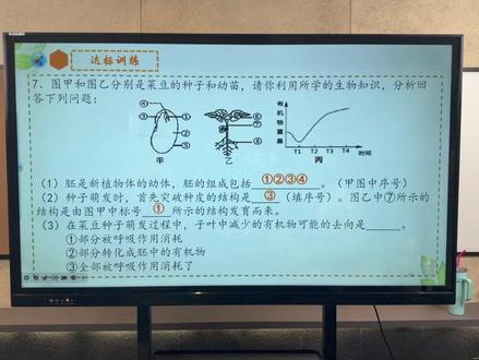 种子的营养物质去了哪里 种子的营养物质及储存部位
种子萌发时所需的营养物质来自自身储存的有机物(如淀粉、蛋白质、脂肪等),储存部位因植物类型而异:
双子叶植物种子:营养物质储存在子叶中,子叶肥厚。例如:
菜豆、花生:子叶富含脂肪和蛋白质,萌发时子叶提供营养;
大豆:子叶储存大量蛋白质。
单子叶植物种子:营养物质储存在胚乳中,子叶较薄,主要功能是转运胚乳中的营养给胚。例如:
玉米、小麦:胚乳富含淀粉(我们吃的面粉、玉米粉主要来自胚乳);
水稻:胚乳是主要的营养储存部位。
三、种子萌发的条件(营养利用的前提)
种子萌发需要自身条件和环境条件,缺一不可:
自身条件:
种子必须是完整的、有活力的胚(胚受损或死亡的种子无法萌发);
度过休眠期(有些种子成熟后需休眠一段时间,如银杏、人参,打破休眠后才能萌发);
储存足够的营养物质(营养不足的种子无法支持萌发)。
环境条件:
适宜的温度:种子萌发需要酶的参与,温度影响酶的活性(如小麦适宜萌发温度 15-20℃);
一定的水分:使种皮变软,胚吸水膨胀,激活酶的活性,分解营养物质;
充足的空气:胚的呼吸作用需要氧气(分解有机物释放能量,供萌发使用)。
注意:光不是所有种子萌发的必需条件(如菜豆、玉米在黑暗中也能萌发,而有些种子如烟草、莴苣需要光)。
四、种子萌发的过程(营养物质的利用)
吸水膨胀:种子吸收水分,种皮变软,胚细胞吸水活跃。
营养转运:子叶或胚乳中的营养物质(淀粉→葡萄糖、脂肪→脂肪酸、蛋白质→氨基酸)被分解,通过胚轴转运给胚芽、胚轴和胚根。
胚的发育:
胚根先突破种皮,发育成根(吸收水分和无机盐,为后续生长提供支持);
胚轴伸长,将胚芽顶出土壤;
胚芽发育成茎和叶(当幼苗长出绿叶后,开始通过光合作用制造有机物,不再依赖种子自身储存的营养)。
#小靳老师 #开学考 #小升初 #知识点总结 #地理