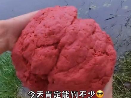 解锁100种淡水鱼图鉴 第2集 #钓鱼 #野外探钓#淡水鱼图鉴 #户外 #流浪