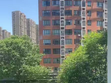 产业逻辑跟踪:人形机器人,在涨什么#A股 #股票 #股民 #投资 #交易