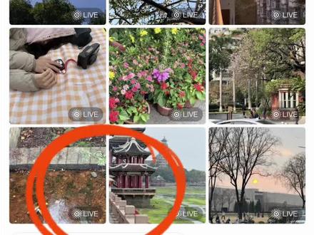 愉阳之点点微博的小猜测。个人猜测
欢迎讨论
#愉阳
#怦然心动20岁