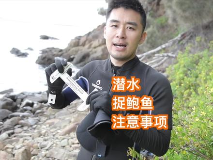 在澳洲潜水捉鲍鱼需要注意什么,听光哥给你讲解讲解 #世界厨房 #塔斯马尼亚