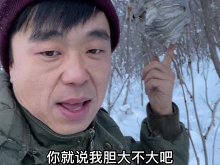 马蜂窝大家都听说过 它的内部构造是啥样的?你知道吗?#大雪封山 #探险 #黑龙江创作者联盟 #2021新农人计划