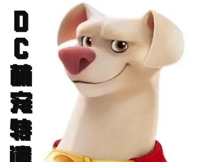 老鼠变异企图统治世界,超人都拦不住!#dc萌宠特遣队 @DOU+小助手 #动漫 #可爱到爆炸💥