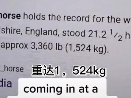 据说是世界上最大的马,名叫夏尔马#夏尔马 #马 #动物 #动物世界 #tiktok