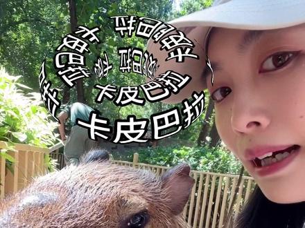 咱就是说 北野撸豚攻略就俩字 坚持,你就能捡到一只迷路的卡皮巴拉!#水豚 #卡皮巴拉