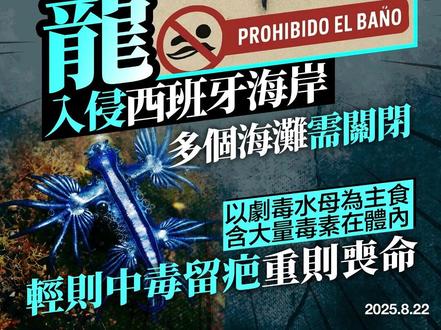 【“蓝龙”入侵西班牙海岸!多个海滩需关闭】 西班牙南部Costa Blanca海岸近日发现“蓝龙”(Glaucus atlanticus)踪迹,导致当地政府紧急封闭全长约11公里的水域,关闭多个海滩并禁止市民进入。市长Jose Luis Saez指出,Vivers海滩出现两只“蓝龙”后,立即发布禁泳令。
此生物学名为,大西洋海神海蛞蝓,是一种颜色突出、外形奇特的海蛞蝓,以致命僧帽水母等有毒生物为食。它能将食物中的刺细胞浓缩在自身体内,使其拥有强大刺痛能力。人类如不慎接触其刺细胞,可能出现剧烈疼痛、恶心、呕吐等症状,甚至急性过敏性皮肤炎。
当地政府呼吁大家千万不要碰触“蓝龙”,轻则中毒留疤重则丧命,遇到时应尽量保持距离。#西班牙 #蓝龙 #神奇物种