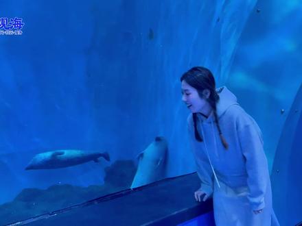 360°沉浸式游览海底是什么感受?观海主播带来一组“奇幻”镜头。(王雨欣 魏若忻)