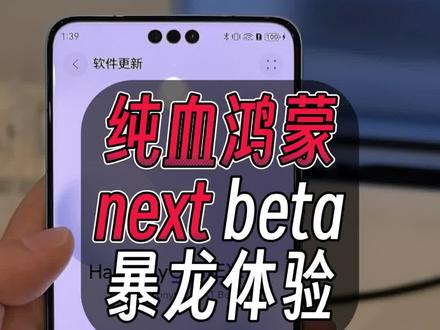 纯血鸿蒙next!暴龙体验 #鸿蒙next #纯血鸿蒙