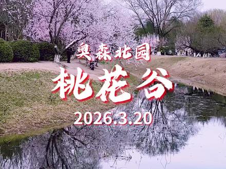 2026.3.20奥森北园桃花谷的桃花开啦
照片片加滤镜了,不过实景也够拍够看的
#春季赏樱打卡地 #桃花节