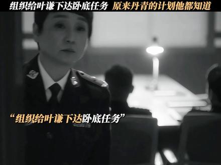 组织给叶谦下达卧底任务,原来丹青的计划他都知道 #风过留痕