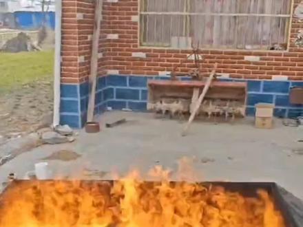 垃圾无烟焚烧炉 #垃圾无烟焚烧炉