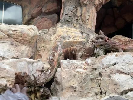 带你沉浸式体验#珠海长隆海洋王国 冰山过山车! 过山车+激流勇进完美结合,太刺激啦!#冰山过山车 #第一视角 #沉浸式体验 #过山车 #激流勇进