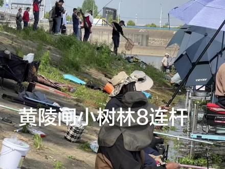 #钓鱼人就是这么疯狂 #垂钓爱好者集结地 #钓鱼的乐趣只有钓鱼人懂 我不是来钓鱼的是来拍视频的!东荆河八连杆!屁股决定一切!我打鬼了 屁股冒坐正!想搞个鱼回去醒一下锅!好难 !鱼一年比一年难钓。#钓鱼爱好者福音 #垂钓爱好者必看