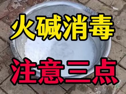 正确的火碱消毒方法一定记好了#猪病防控 #三农养殖
