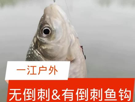 鱼钩无倒刺&有倒刺有什么区别#钓鱼人 #钓鱼技巧 #钓鱼 #鱼钩