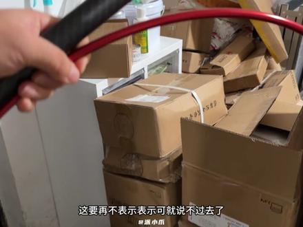 没想到这年头还有主动送上门的小猫 #流浪猫绝育 #关爱流浪猫 #我和流浪猫的故事 #治愈 #流浪猫