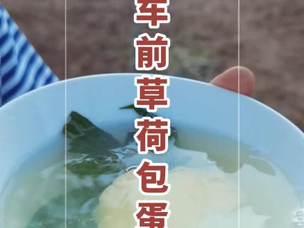 车前草煮鸡蛋,作用真是太神奇了。#车前草煮鸡蛋 #车前草 #车前草的妙用