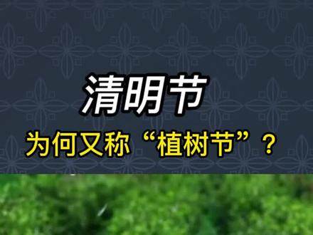 清明节为何又称“植树节”? #小科普 #清明节