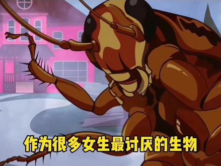 蟑螂为什么不能直接踩?#科技周周 #知识先锋计划 #涨知识 #科普 #蟑螂