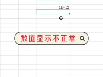 当数值显示不正常时,巧妙运用单元格格式#excel #excel技巧 #玩转office