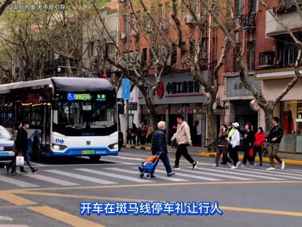 斑马线礼让行人#安全驾驶 #交通规则