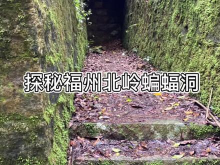 福州北岭蝙蝠洞#山洞到底藏着什么 #户外探险 #福州周边游