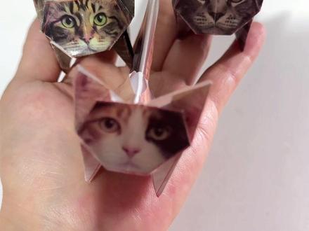 超火的桌面纸宠,小猫折纸太治愈啦~不用画、不用剪,跟着折就成型,摆在书桌、床头都超可爱,大人小孩都能玩。#猫咪折纸 #折纸玩具 #手工diy #手工 #亲子互动