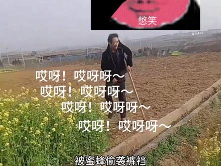 哈哈哈哈哈! #搞笑 #抽象