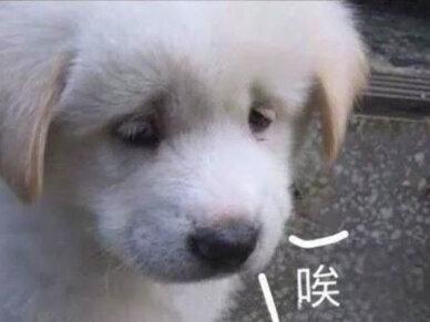 “我得死,我也打不过这人间”
#阴暗 #真实事件 #人性 #可怕