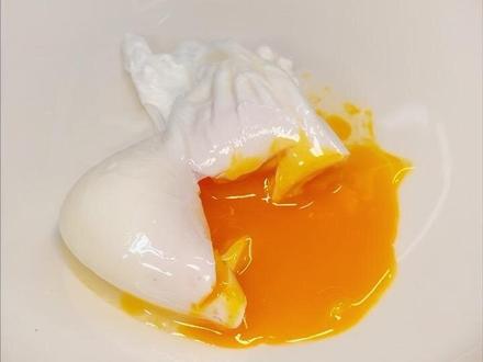 紧跟蛋神脚步,今天也来分享一个煮水波蛋的技巧,在家也能简单复刻,记得交作业哦~ #跟着蛋神学做蛋 #爱吃蛋 #溏心蛋 #水波蛋 #茴悦