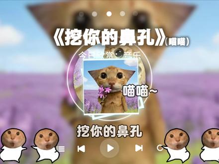 “挖你的鼻孔 喵喵~~” 鸡屎变成小猫咪还是没办法和你一起玩吗#哈基米哈基米 #瓦瓦 #猫咪 #热门音乐🔥 #音乐分享 灵感:瓦瓦