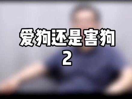 流浪狗的悲剧,与我们每个人都有关系#宝藏宠物研究所 #文明养犬从我做起 #科学养宠攻略 #狗狗的日常 #狗子