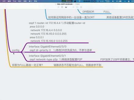第07次课 OSPF思科配置命令