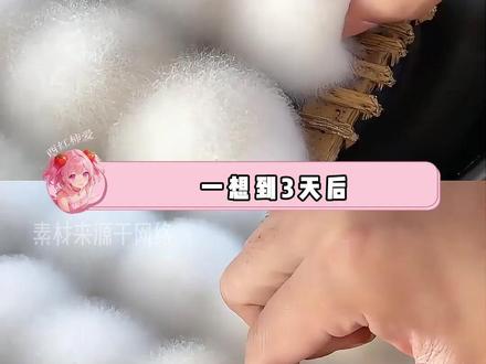 好的霉豆腐成品豆腐表面附着一层白色绒毛,如果做出来是五彩斑斓,那么恭喜你喜提“绝命毒师”称号。#霉豆腐 #自制霉豆腐 #手工 #DIY