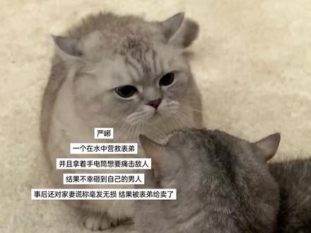 这就是大名鼎鼎的建宁市刑侦支队队长吗,真是失敬失敬#破云#严峫#江停