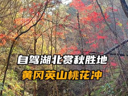 自驾湖北黄冈的赏秋胜地——英山桃花冲,看看门票70的景色值不值