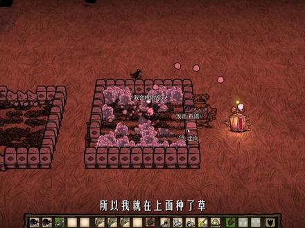 鼹鼠全攻略 饥荒联机(加强版)