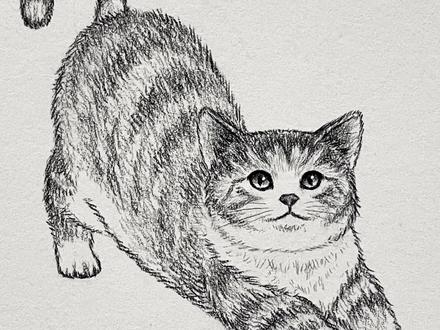 一分钟学会!超简单的画猫咪方法✿ ◡‿◡✿
#零基础学画画 #画猫 #画小猫 #画猫咪 #怎么画猫咪