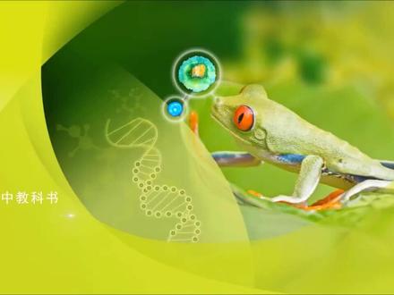 激素调节的过程