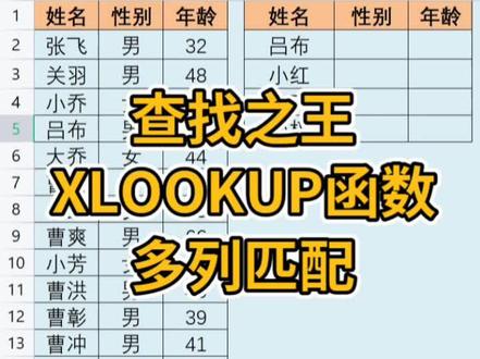 Xlookup函数多列精确匹配#excel技巧 #办公技巧 #excel #excel教学 #办公技能