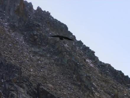 如何破解“通麦天险”的谜题?如何穿越层层断裂打通二郎山隧道?三代冻土人如何探索冰雪之下的冻土奥秘?CCTV-10精心呈献五集纪录片#世界屋脊之路 敬请收看。#两路精神 #致敬川藏青藏公路建成通车70周年