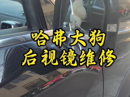 后视镜维修 哈佛大狗后视镜维修#哈弗 #哈弗大狗 #后视镜维修