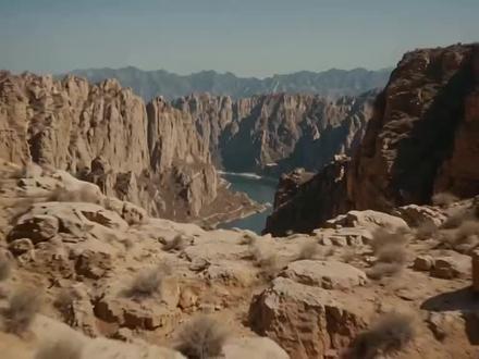 流金谷恩仇录,白鹰与波斯猫白头鹰,邵氏武侠,来源:央视网哇哇官媒啊啊!