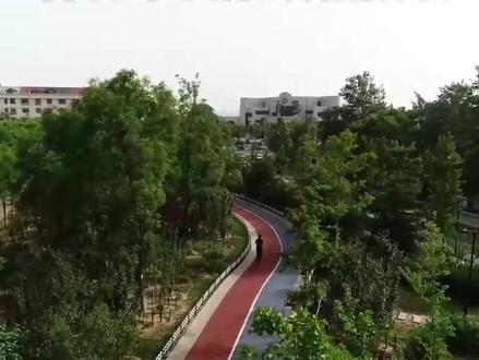 退市16年后“复活”
汇绿生态11月17日起重新上市
首日不设涨跌幅限制