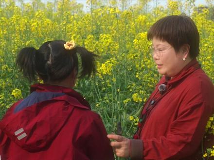 用这招写油菜花,普通文直接变范文#写作方法 #写作技巧 #油菜花 #小学作文